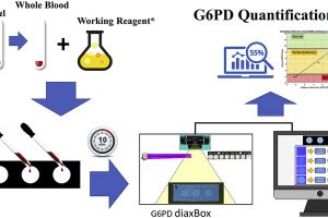 G-6-PD, QUANTITATIVE
