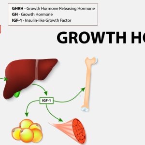 GROWTH HORMONE; GH