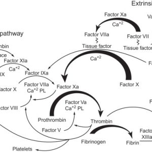 FACTOR IX FUNCTIONAL