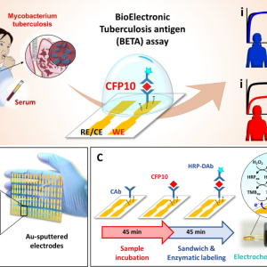 MYCOBACT TB PCR(URINE)