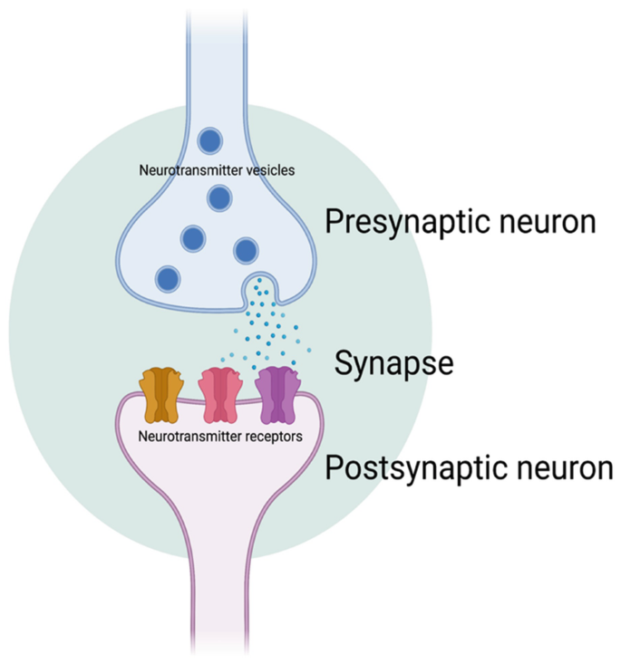 VMA (VANILMANDELIC ACID) , RANDOM URINE Krown Laboratory and Referral