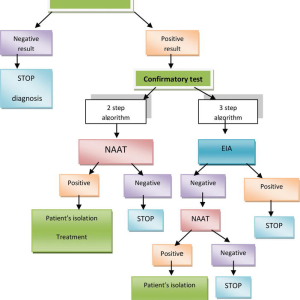C. DIFFICILE TOXIN A & B, STOOL