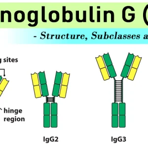 IMMUNOGLOBULIN IGG, SERUM