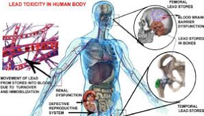 LEAD,BLOOD