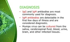 MUMPS VIRUS ANTIBODIES PANEL, IGG & IGM