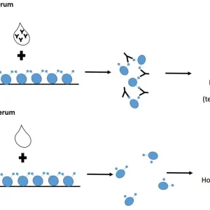MONO TEST (INFECTIOUS MONONUCLEOSIS)
