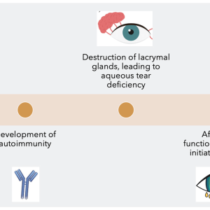 SJOGRENS SYNDROME ANTIBODIES
