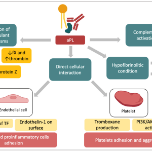 LUPUS ANTICOAGULANT BY DRVVT