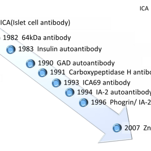 ISLETCELL ANTIBODY, IN DILUTIONS