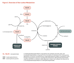 FOLATE (FOLIC ACID), SERUM