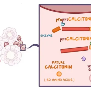 CALCITONIN
