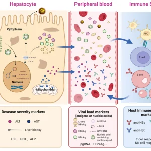 HEPATITIS B CORE ANTIBODY (ANTI-HBC), TOTAL