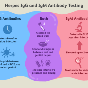 HERPES SIMPLEX 1+2 VIRUS ( HSV), ANTIBODIES PANEL, IGG & IGM, SERUM